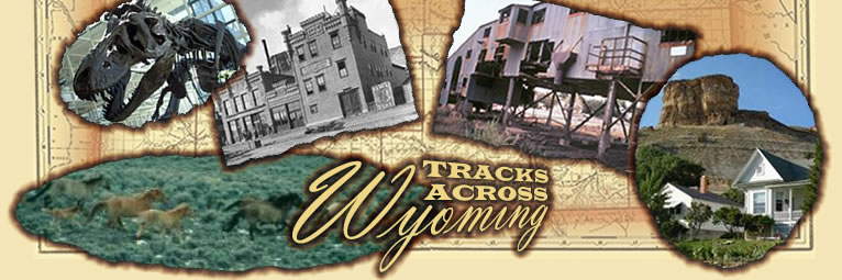 Tracks Across Wyoming