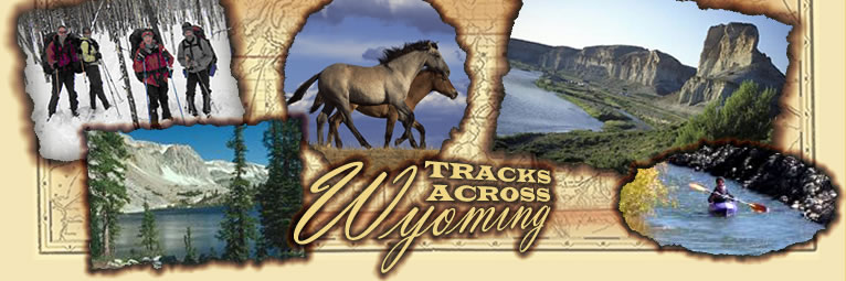 Tracks Across Wyoming